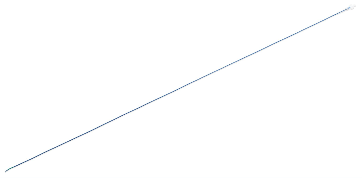 Guiding Catheter